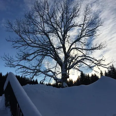 Bukovina - Chata 3 Üdülőpark Morávka